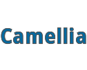 CAMELLIA