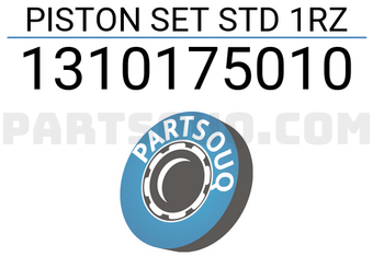 AISIN 1310175010 PISTON SET STD 1RZ