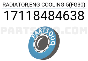 Behr 17118484638 RADIATOR,ENG COOLING-5(FG30)