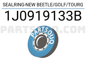 DPH 1J0919133B SEALRING-NEW BEETLE/GOLF/TOURG