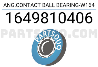 FAG 1649810406 ANG.CONTACT BALL BEARING-W164
