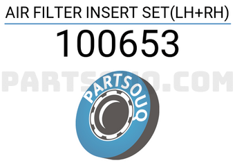 FEBI 100653 AIR FILTER INSERT SET(LH+RH)