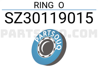 HINO SZ30119015 RING O