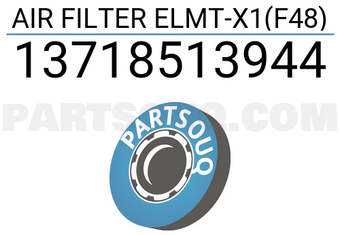 Hengst 13718513944 AIR FILTER ELMT-X1(F48)