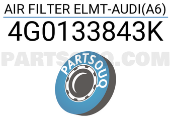 Hengst 4G0133843K AIR FILTER ELMT-AUDI(A6)