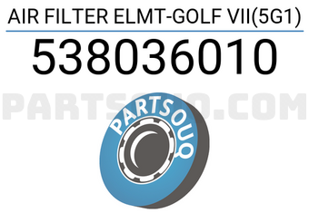 Hengst 538036010 AIR FILTER ELMT-GOLF VII(5G1)