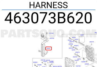 Hyundai / KIA 463073B620 HARNESS