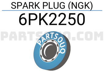 NGK 6PK2250 SPARK PLUG (NGK)