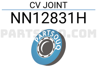 NKN NN12831H CV JOINT
