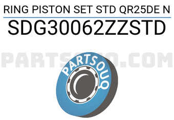NPR SDG30062ZZSTD RING PISTON SET STD QR25DE N