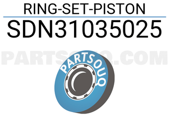 NPR SDN31035025 RING-SET-PISTON