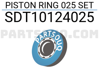 NPR SDT10124025 PISTON RING 025 SET