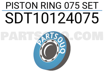 NPR SDT10124075 PISTON RING 075 SET