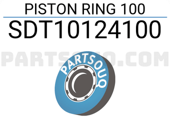 NPR SDT10124100 PISTON RING 100