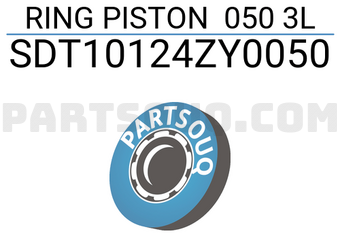 NPR SDT10124ZY0050 RING PISTON 050 3L