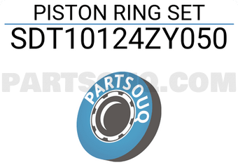 NPR SDT10124ZY050 PISTON RING SET