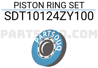 NPR SDT10124ZY100 PISTON RING SET