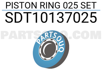 NPR SDT10137025 PISTON RING 025 SET