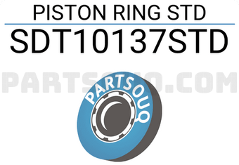 NPR SDT10137STD PISTON RING STD