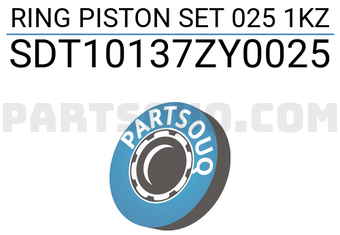 NPR SDT10137ZY0025 RING PISTON SET 025 1KZ