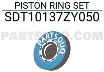 NPR SDT10137ZY050 PISTON RING SET