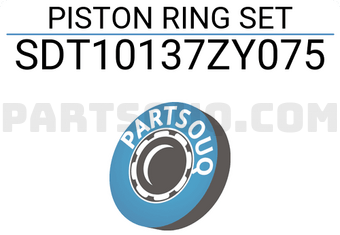 NPR SDT10137ZY075 PISTON RING SET