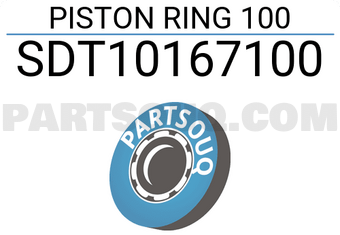 NPR SDT10167100 PISTON RING 100