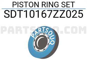 NPR SDT10167ZZ025 PISTON RING SET