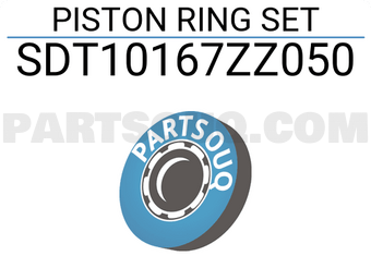 NPR SDT10167ZZ050 PISTON RING SET