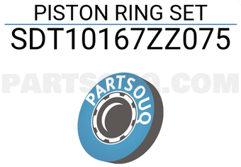 NPR SDT10167ZZ075 PISTON RING SET