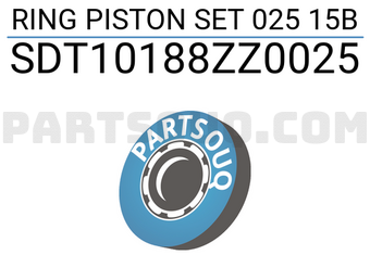 NPR SDT10188ZZ0025 RING PISTON SET 025 15B