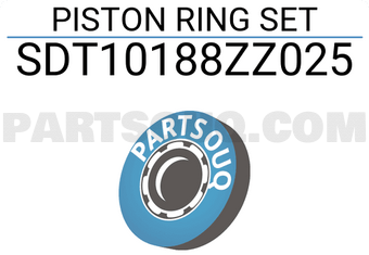 NPR SDT10188ZZ025 PISTON RING SET