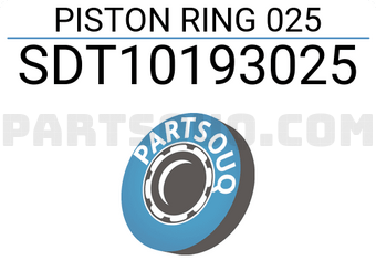 NPR SDT10193025 PISTON RING 025