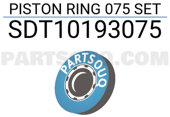 NPR SDT10193075 PISTON RING 075 SET