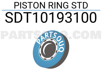 NPR SDT10193100 PISTON RING STD