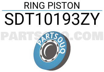 NPR SDT10193ZY RING PISTON