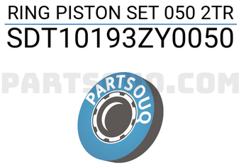 NPR SDT10193ZY0050 RING PISTON SET 050 2TR