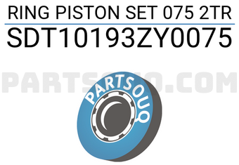 NPR SDT10193ZY0075 RING PISTON SET 075 2TR