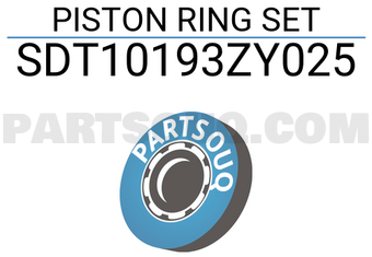 NPR SDT10193ZY025 PISTON RING SET