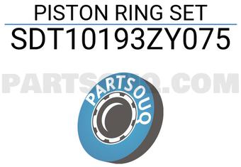 NPR SDT10193ZY075 PISTON RING SET