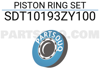 NPR SDT10193ZY100 PISTON RING SET