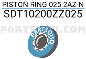 NPR SDT10200ZZ025 PISTON RING 025 2AZ-N