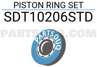 NPR SDT10206STD PISTON RING SET