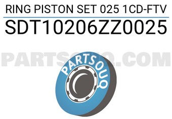 NPR SDT10206ZZ0025 RING PISTON SET 025 1CD-FTV