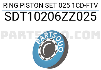 NPR SDT10206ZZ025 RING PISTON SET 025 1CD-FTV
