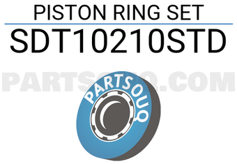 NPR SDT10210STD PISTON RING SET
