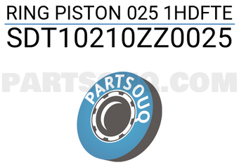 NPR SDT10210ZZ0025 RING PISTON 025 1HDFTE