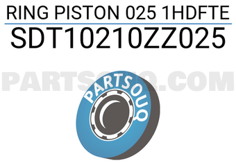 NPR SDT10210ZZ025 RING PISTON 025 1HDFTE