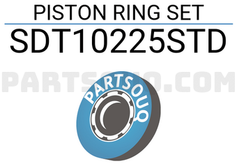 NPR SDT10225STD PISTON RING SET