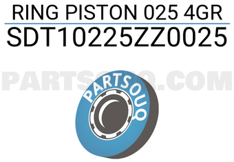 NPR SDT10225ZZ0025 RING PISTON 025 4GR